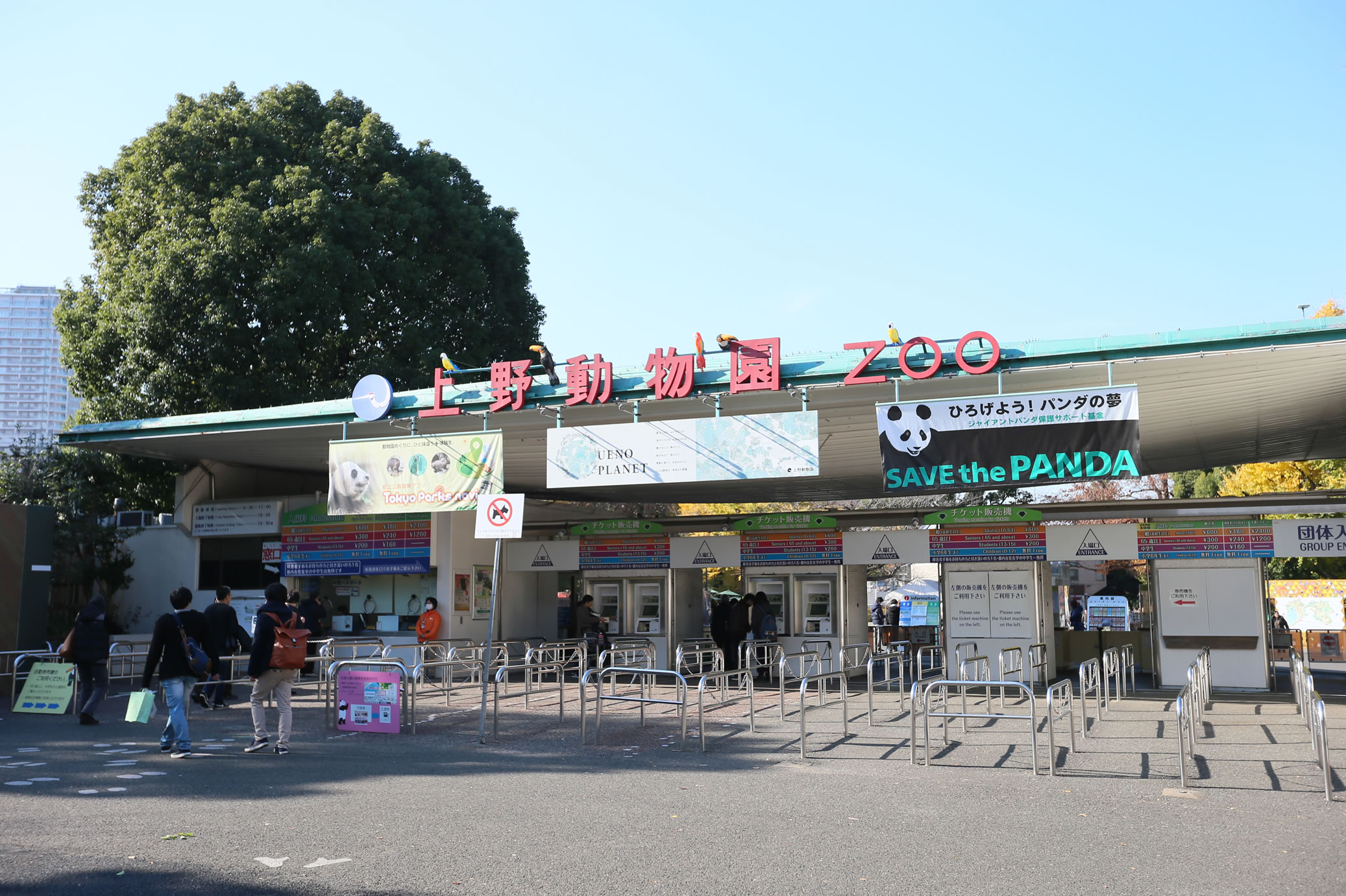 株式会社スターズ スターキッズ保育園（分園）の正職員 保育士 認証・認可保育所 小規模保育園の求人情報イメージ6