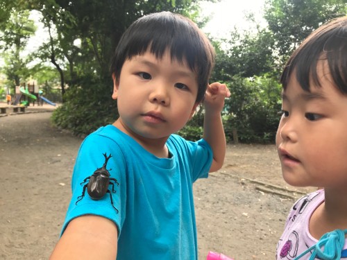 共同保育所にんじんの正職員 保育士 認証・認可保育所の求人情報イメージ8